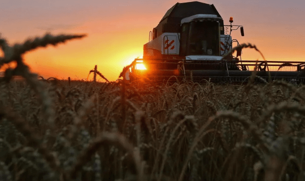 Cerealeras y aceiteras respaldaron la reforma laboral y destacaron su impacto en el&nbsp;empleo